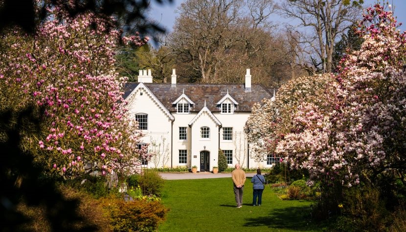 Five spring flower walks in Hampshire - Visit Hampshire