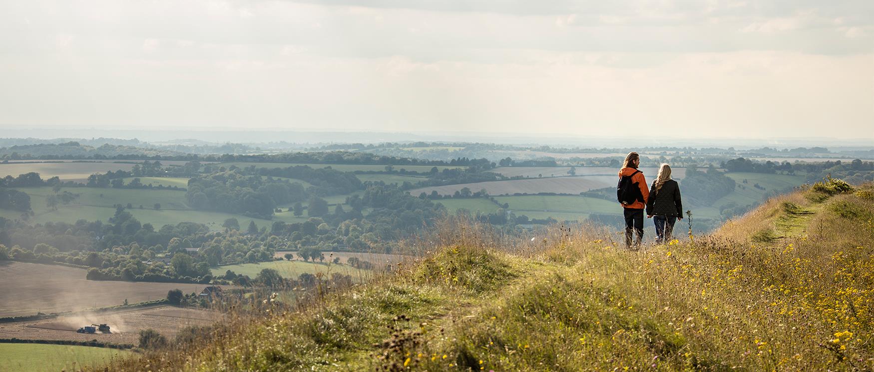 The Best Walks In Hampshire Walking Hiking Routes Visit Hampshire