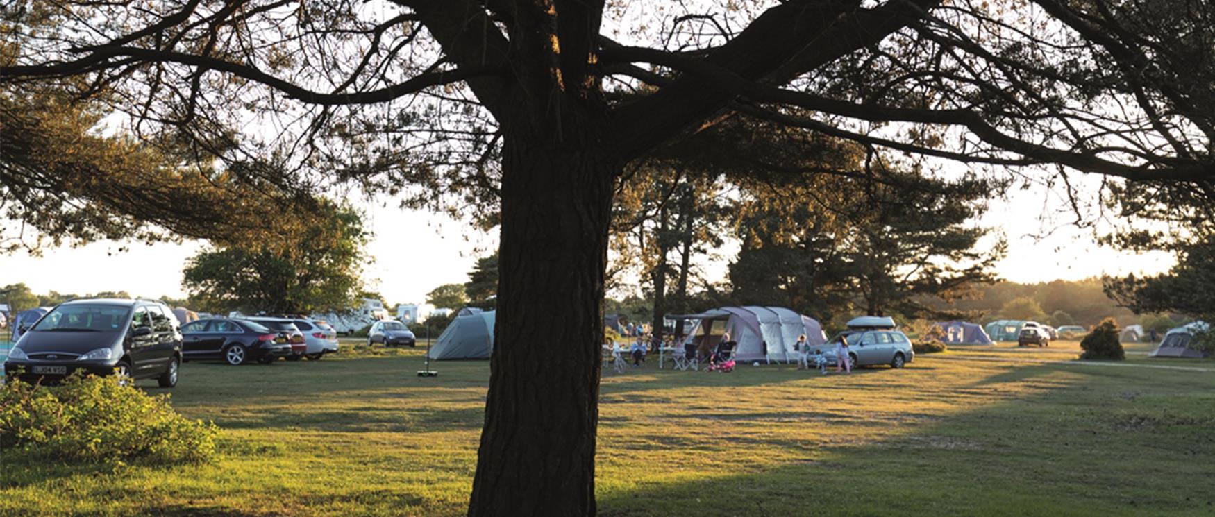 Campsites in Hampshire