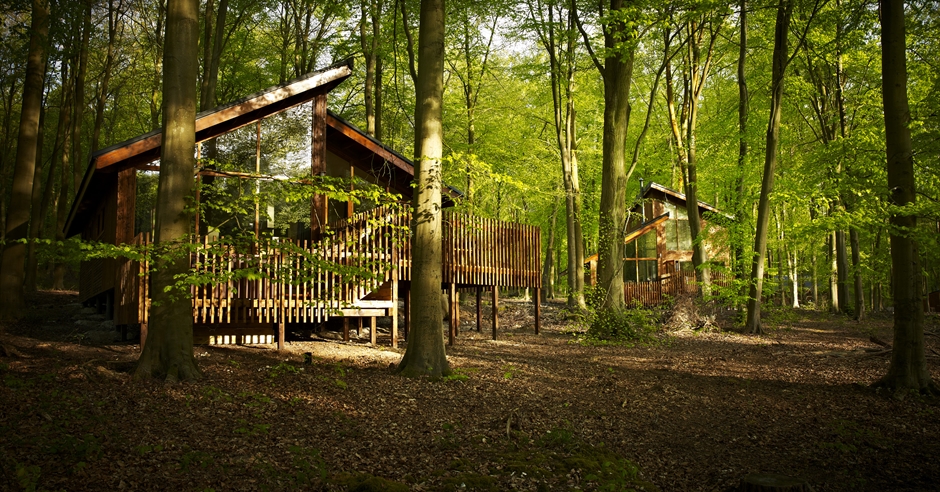 Forest Holidays Blackwood Winchester Visit Hampshire