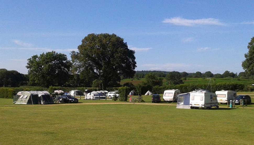 Red Shoot Camping Park - New Forest - Visit Hampshire