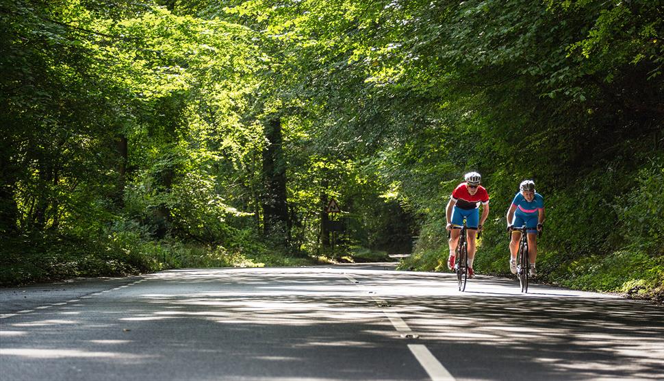 new forest road bike routes