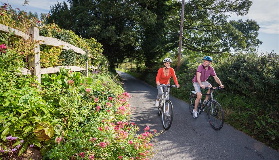 Hilly Circular Cycle Route from Winchester